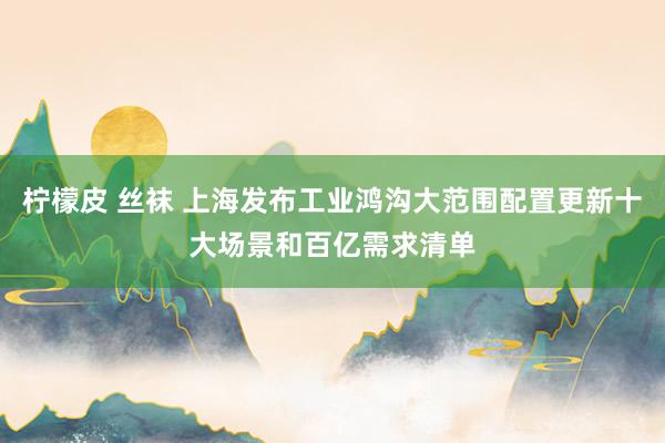 柠檬皮 丝袜 上海发布工业鸿沟大范围配置更新十大场景和百亿需求清单