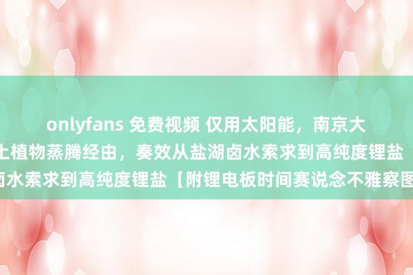 onlyfans 免费视频 仅用太阳能，南京大学科研东说念主员效法盐土植物蒸腾经由，奏效从盐湖卤水索求到高纯度锂盐【附锂电板时间赛说念不雅察图谱】