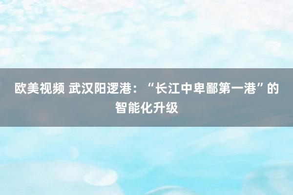 欧美视频 武汉阳逻港：“长江中卑鄙第一港”的智能化升级