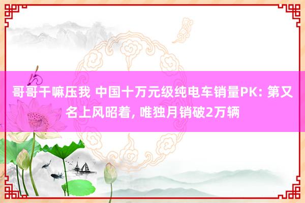 哥哥干嘛压我 中国十万元级纯电车销量PK: 第又名上风昭着， 唯独月销破2万辆
