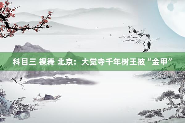科目三 裸舞 北京：大觉寺千年树王披“金甲”