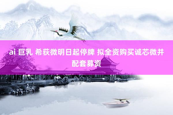 ai 巨乳 希荻微明日起停牌 拟全资购买诚芯微并配套募资
