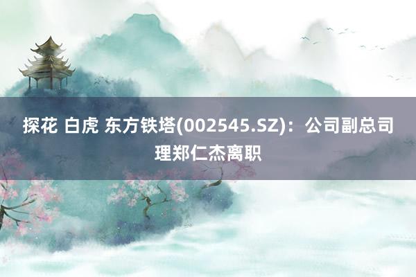 探花 白虎 东方铁塔(002545.SZ):公司副总司理郑仁杰离职