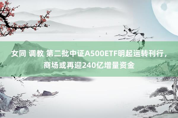 女同 调教 第二批中证A500ETF明起运转刊行，商场或再迎240亿增量资金