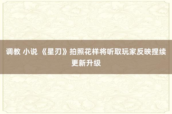 调教 小说 《星刃》拍照花样将听取玩家反映捏续更新升级