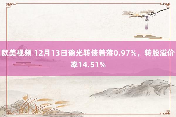 欧美视频 12月13日豫光转债着落0.97%，转股溢价率14.51%