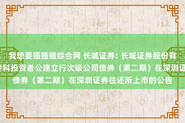 我想要插插插综合网 长城证券: 长城证券股份有限公司2024年面向专科投资者公建立行次级公司债券(第二期)在深圳证券往还所上市的公告
