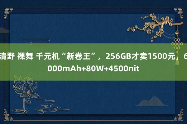 清野 裸舞 千元机“新卷王”，256GB才卖1500元，6000mAh+80W+4500nit