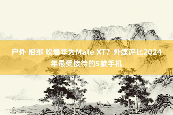 户外 捆绑 吹爆华为Mate XT？外媒评比2024年最受接待的5款手机