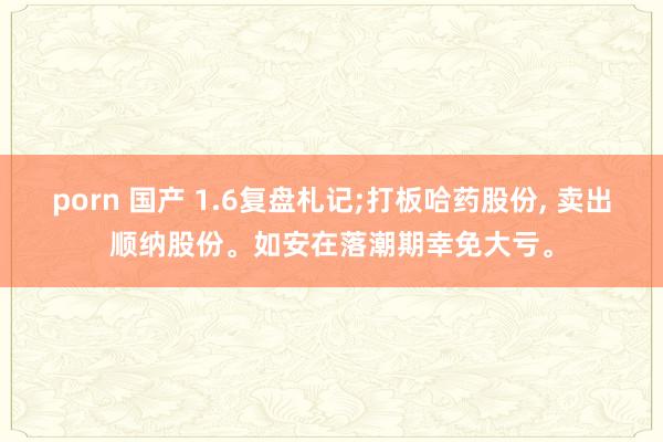 porn 国产 1.6复盘札记;打板哈药股份， 卖出顺纳股份。如安在落潮期幸免大亏。