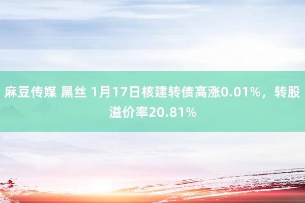 麻豆传媒 黑丝 1月17日核建转债高涨0.01%，转股溢价率20.81%
