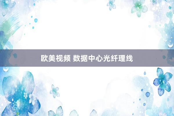欧美视频 数据中心光纤理线