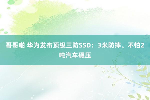 哥哥啪 华为发布顶级三防SSD：3米防摔、不怕2吨汽车碾压