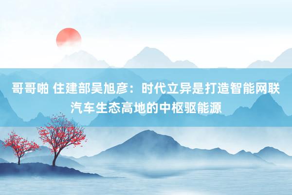哥哥啪 住建部吴旭彦：时代立异是打造智能网联汽车生态高地的中枢驱能源