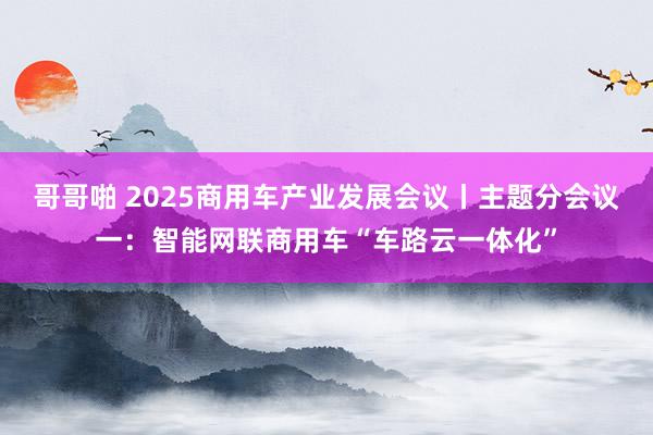 哥哥啪 2025商用车产业发展会议丨主题分会议一：智能网联商用车“车路云一体化”