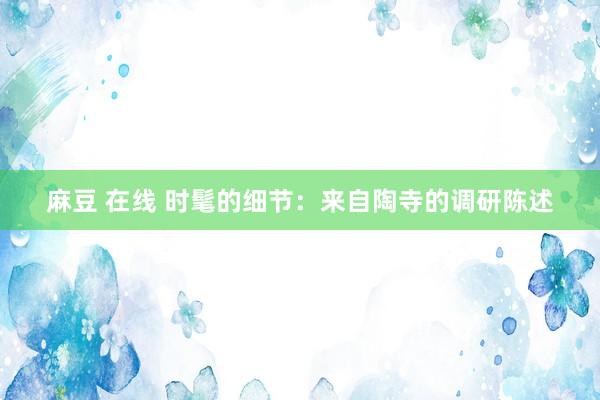 麻豆 在线 时髦的细节：来自陶寺的调研陈述