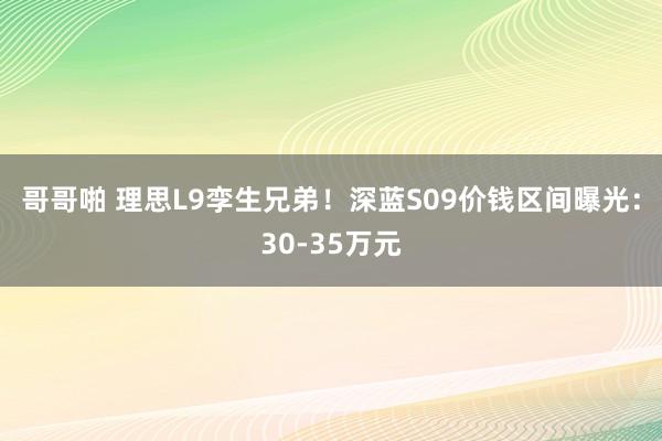 哥哥啪 理思L9孪生兄弟！深蓝S09价钱区间曝光：30-35万元