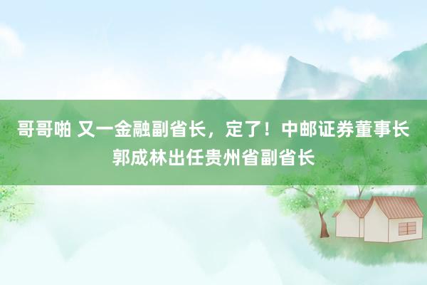 哥哥啪 又一金融副省长，定了！中邮证券董事长郭成林出任贵州省副省长