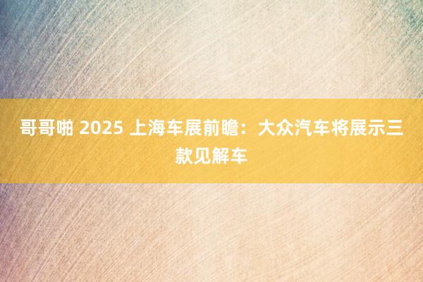 哥哥啪 2025 上海车展前瞻：大众汽车将展示三款见解车