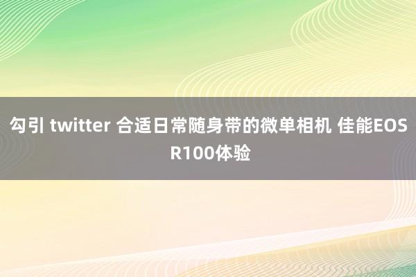 勾引 twitter 合适日常随身带的微单相机 佳能EOS R100体验