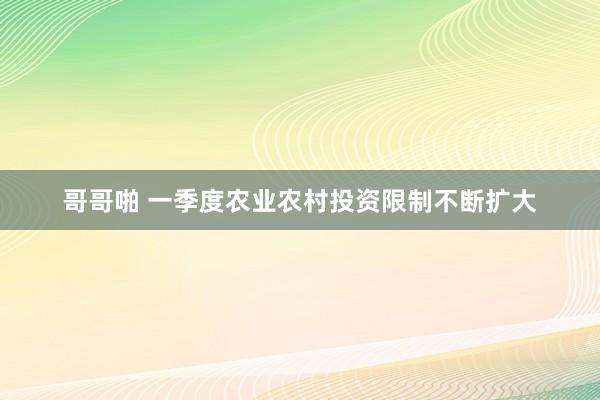 哥哥啪 一季度农业农村投资限制不断扩大