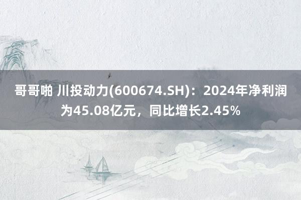 哥哥啪 川投动力(600674.SH)：2024年净利润为45.08亿元，同比增长2.45%