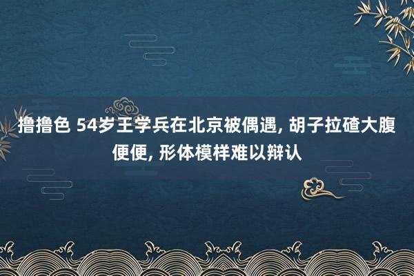 撸撸色 54岁王学兵在北京被偶遇， 胡子拉碴大腹便便， 形体模样难以辩认