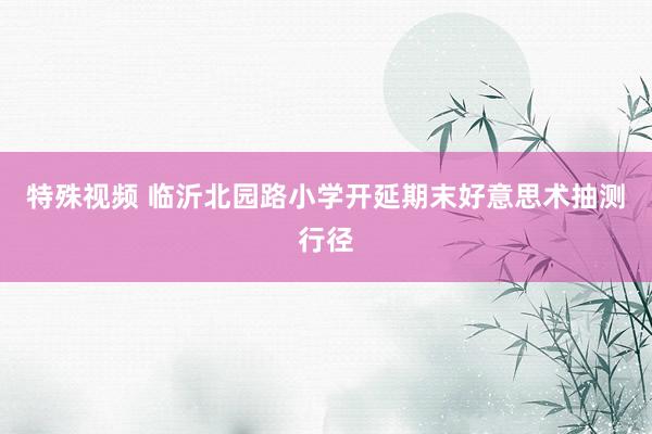 特殊视频 临沂北园路小学开延期末好意思术抽测行径